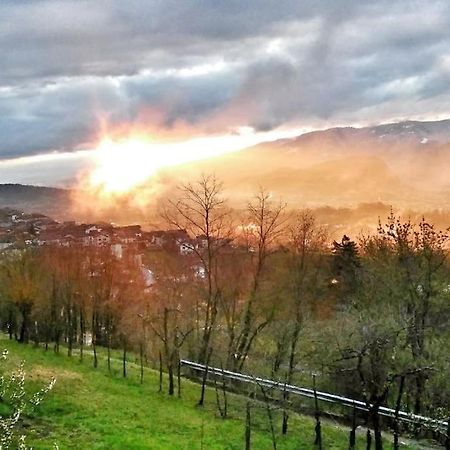 Casa Nella Natura Il Risveglio Degli Elfi Pedavena Exterior foto