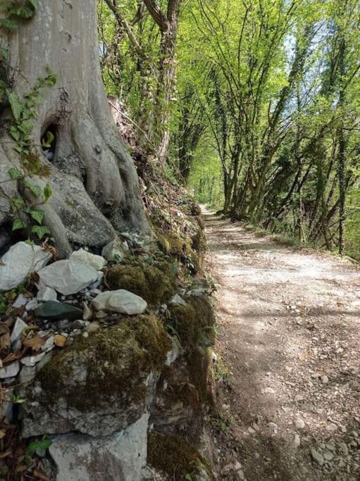 Casa Nella Natura Il Risveglio Degli Elfi Pedavena Exterior foto