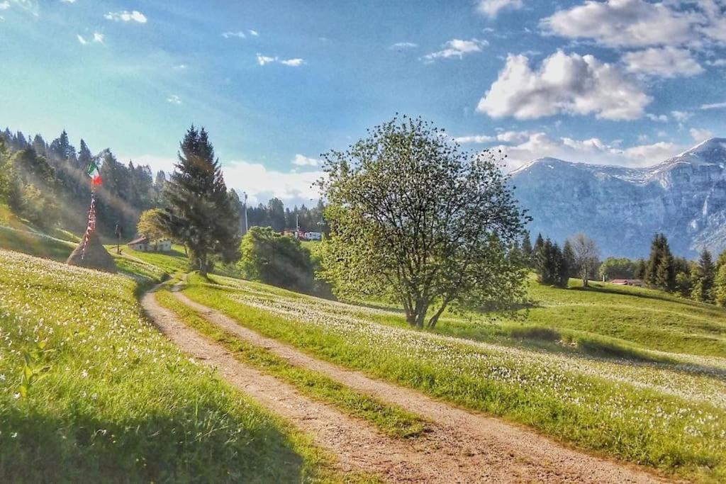 Casa Nella Natura Il Risveglio Degli Elfi Pedavena Exterior foto