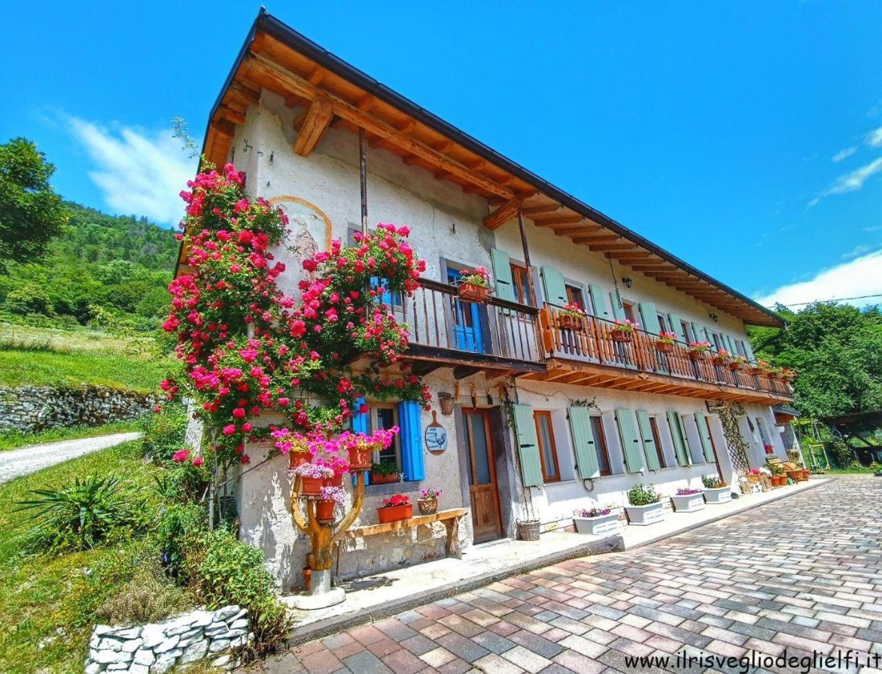 Casa Nella Natura Il Risveglio Degli Elfi Pedavena Exterior foto